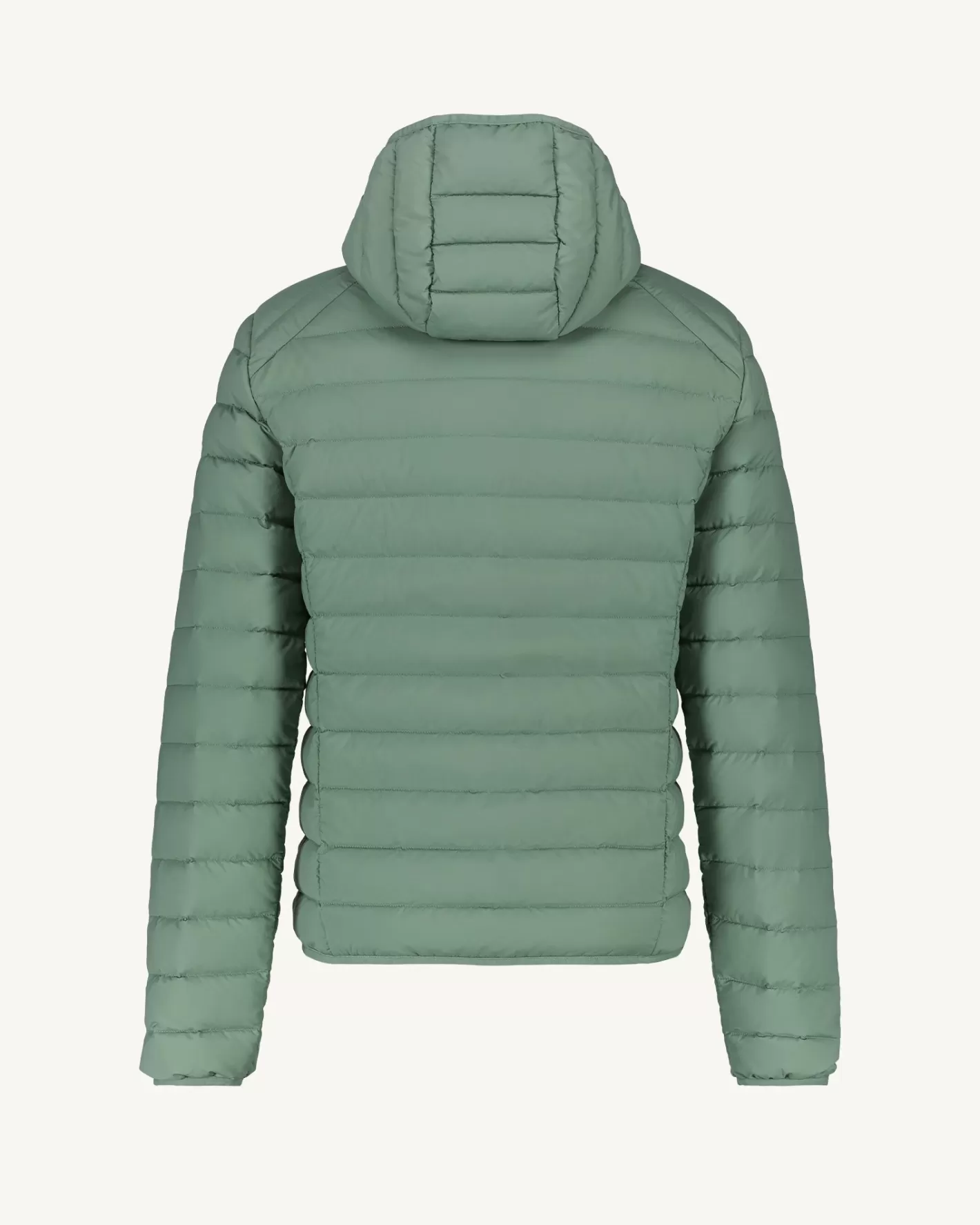 doudoune_lgre_stretch__capuche_vert_minral_frantz_6.webp JOTT Doudoune légère stretch à capuche Vert minéral Frantz WVERTMINERAL Hot